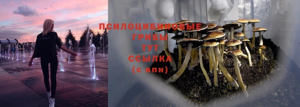 прущие крисы Алзамай