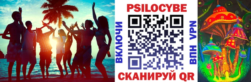 Галлюциногенные грибы прущие грибы  Купить  Болхов 